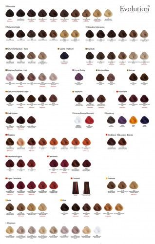 Alfaparf Evolution