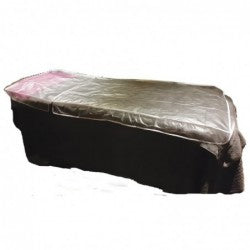 Hair Tools clear couch cover