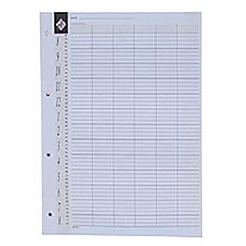 Loose Leaf Refill Pages - 6 Assistant (Pack of 100)